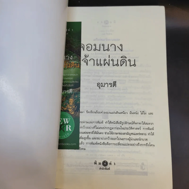 จอมนางเจ้าแผ่นดิน - อุมารตี รูปที่ 8