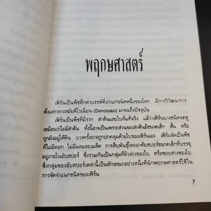 เฟิร์น - วิเชษฐ ค้าสุวรรณ รูปที่ 11