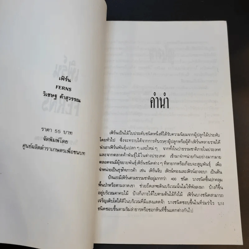 เฟิร์น - วิเชษฐ ค้าสุวรรณ รูปที่ 9