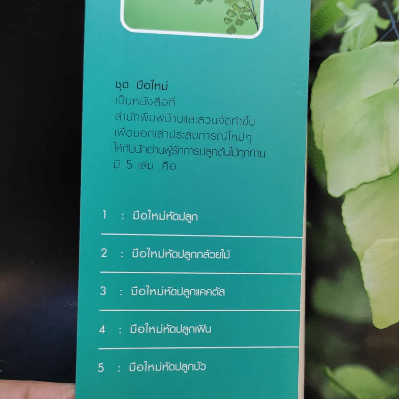 มือใหม่หัดปลูกเฟิน Easy Fern - อุไร จิรมงคลการ รูปที่ 8