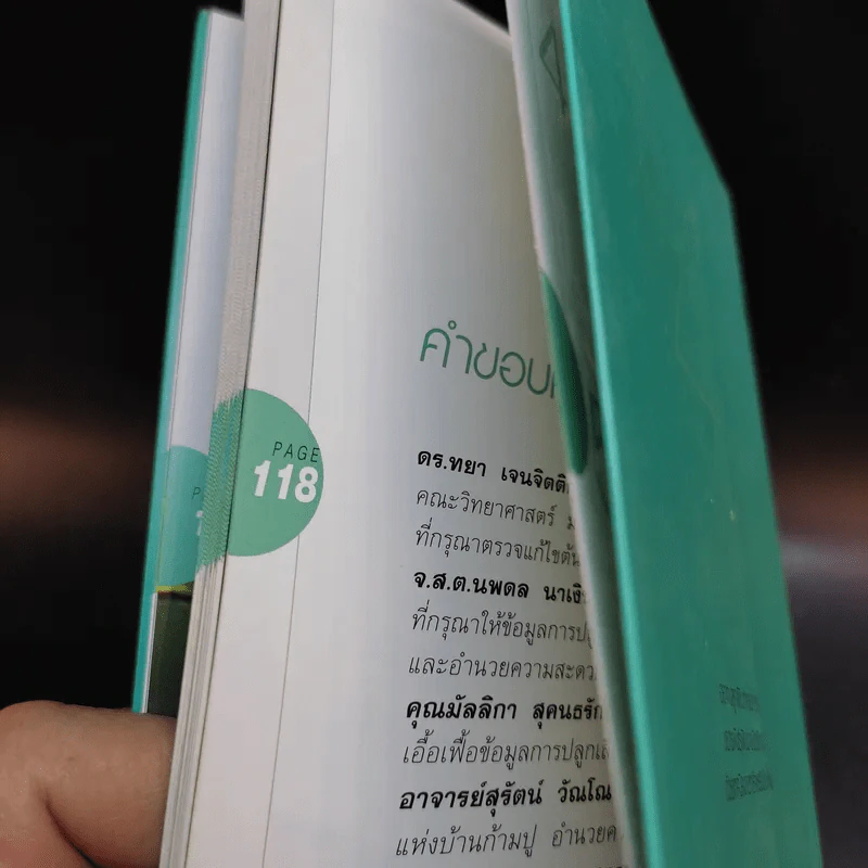 มือใหม่หัดปลูกเฟิน Easy Fern - อุไร จิรมงคลการ รูปที่ 13