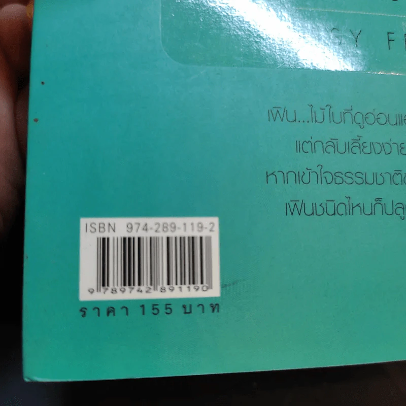 มือใหม่หัดปลูกเฟิน Easy Fern - อุไร จิรมงคลการ รูปที่ 14