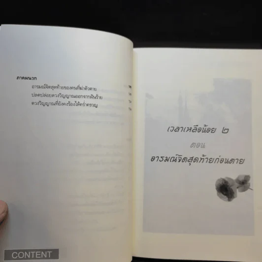 เวลาเหลือน้อย 2 ตอน อารมณ์จิตสุดท้ายก่อนตาย - อ.บูรพา ผดุงไทย รูปที่ 11