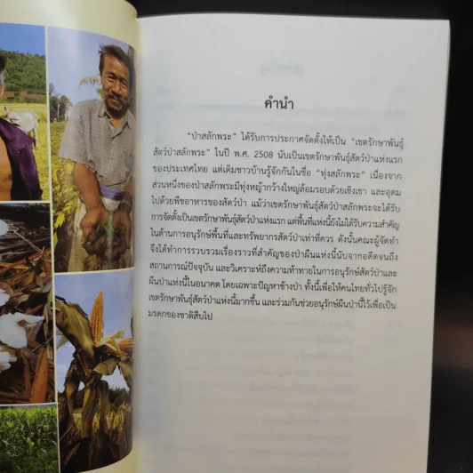 สลักพระ : เขตรักษาพันธุ์สัตว์ป่าแห่งแรกของประเทศไทย รูปที่ 8