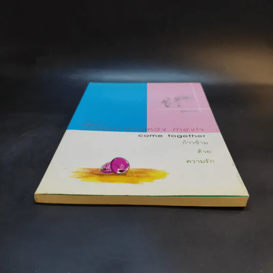 เรื่องราว ความรัก ความหวัง กำลังใจ Come Together ก้าวข้าด้วยความรัก - ชิตะวาฯ รูปที่ 4