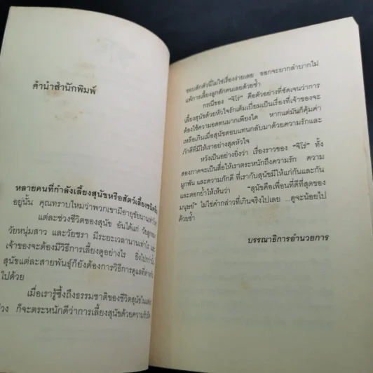 จิโร่กับการเดินทางครั้งสุดท้าย รูปที่ 9