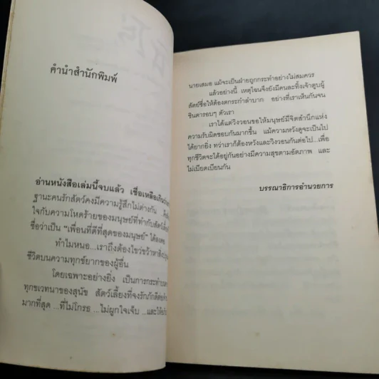 ชิโร่คำวิงวอนของสุนัขทดลอง รูปที่ 10