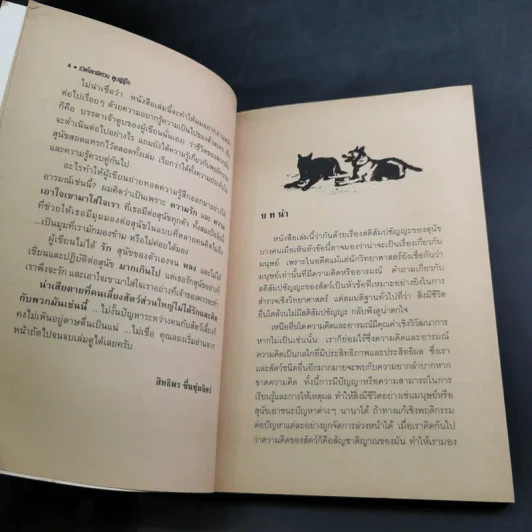 เปิดโลกพิศวง ตูบผู้รู้ใจ The Hidden Life of Dogs รูปที่ 10