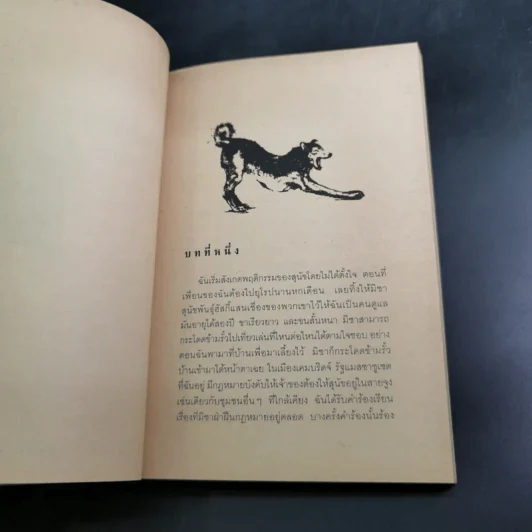 เปิดโลกพิศวง ตูบผู้รู้ใจ The Hidden Life of Dogs รูปที่ 11