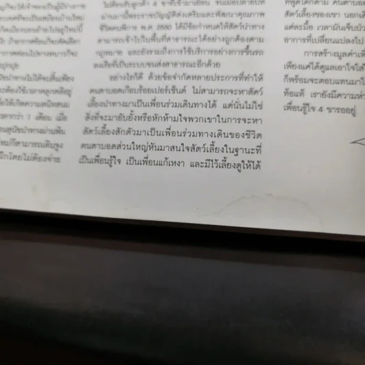 a day Volume 9 Number 99 November 2008 รูปที่ 13