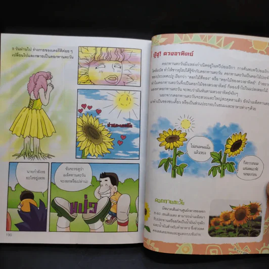 ไขปริศนาธรรมชาติ เปิดตำนานเทพเจ้ากรีก เล่ม 1 รูปที่ 11