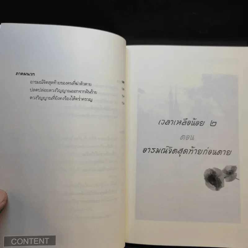 เวลาเหลือน้อย 2 ตอน อารมณ์จิตสุดท้ายก่อนตาย - อ.บูรพา ผดุงไทย รูปที่ 11