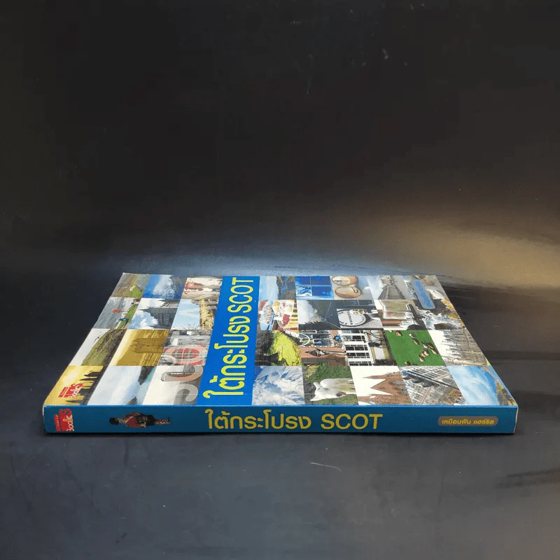ใต้กระโปรง Scot - เหมือนฝัน แอร์ริส รูปที่ 3