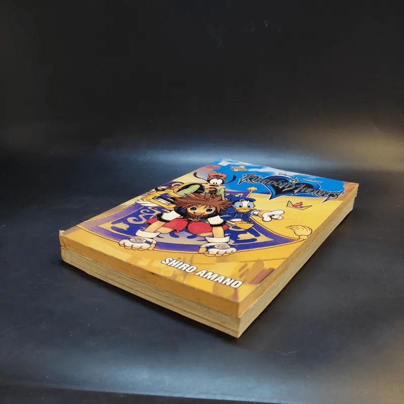 Kingdom Hearts เล่ม 1-2 - Shiro Amano รูปที่ 7