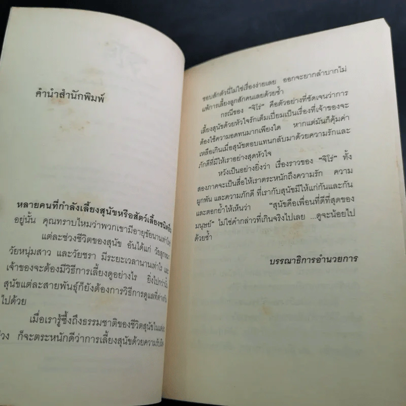 จิโร่กับการเดินทางครั้งสุดท้าย รูปที่ 9