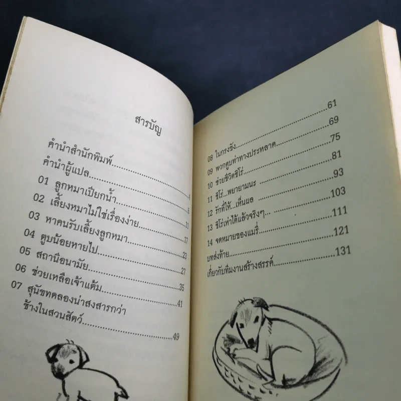 ชิโร่คำวิงวอนของสุนัขทดลอง รูปที่ 12