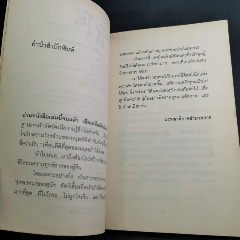 ชิโร่คำวิงวอนของสุนัขทดลอง รูปที่ 10