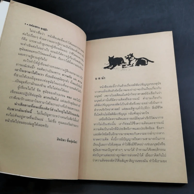 เปิดโลกพิศวง ตูบผู้รู้ใจ The Hidden Life of Dogs รูปที่ 10