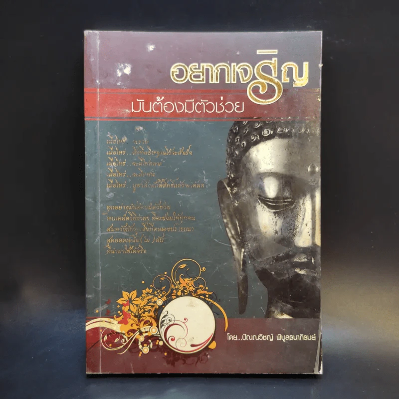 อยากเจริญ มันต้องมีตัวช่วย - ปัณณวิชญ์ พิบูลธนาภิรมย์ รูปที่ 1