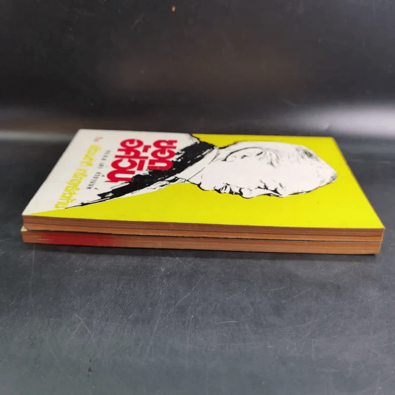 ยอดอัศวิน พล.ต.อ.เผ่า ศรียานนท์ เล่ม 2-3 - พัฒนชาติ เกริกฤทธิสะท้าน รูปที่ 5