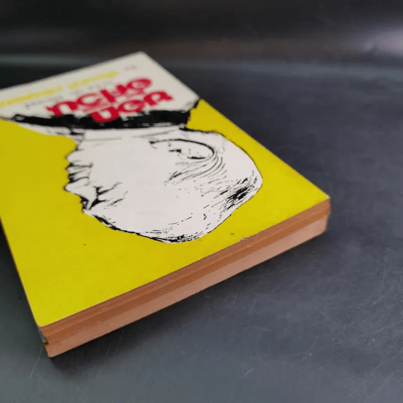 ยอดอัศวิน พล.ต.อ.เผ่า ศรียานนท์ เล่ม 2-3 - พัฒนชาติ เกริกฤทธิสะท้าน รูปที่ 6