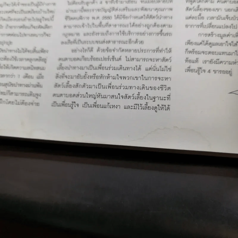 a day Volume 9 Number 99 November 2008 รูปที่ 13