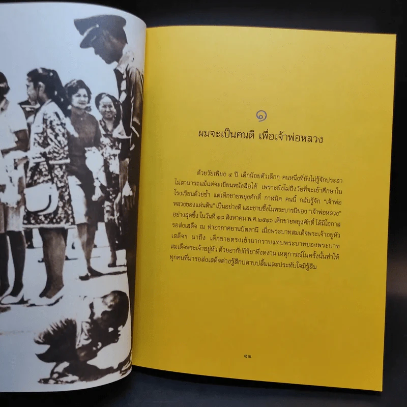ในหลวงของฉัน รูปที่ 11