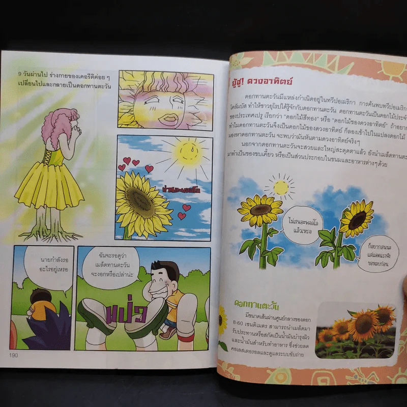ไขปริศนาธรรมชาติ เปิดตำนานเทพเจ้ากรีก เล่ม 1 รูปที่ 11
