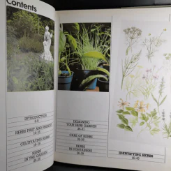 Herbs - Ann Bonar รูปที่ 8