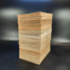 ยอดนักสืบจิ๋วโคนัน ภาคพิเศษ เล่ม 1-14,16,17,18,21 รูปที่ 6