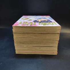 มาเฟียที่รัก 9 เล่มจบ - Shinjo Mayu รูปที่ 5