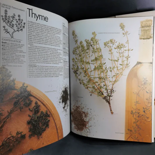 Herbs - Ann Bonar รูปที่ 12