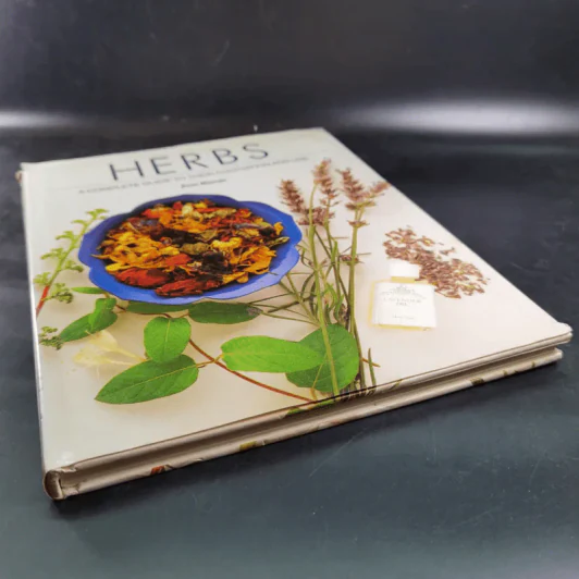 Herbs - Ann Bonar รูปที่ 4