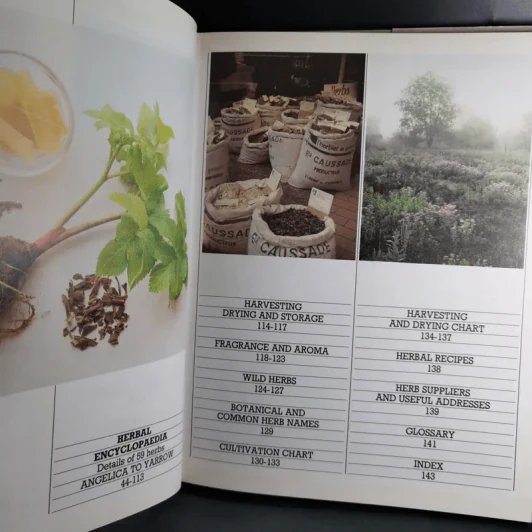 Herbs - Ann Bonar รูปที่ 9
