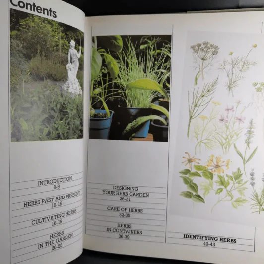 Herbs - Ann Bonar รูปที่ 8