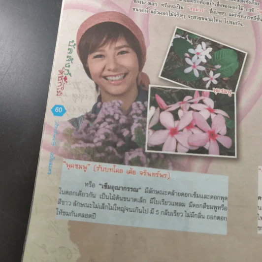 บัลลังก์ดอกไม้ เรื่องย่อละคร ภาพยนตร์บันเทิง รูปที่ 10