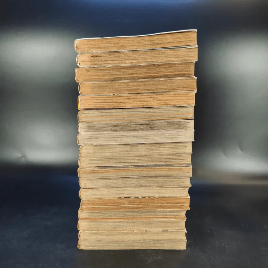 ยอดนักสืบจิ๋วโคนัน ภาคพิเศษ เล่ม 1-14,16,17,18,21 รูปที่ 3