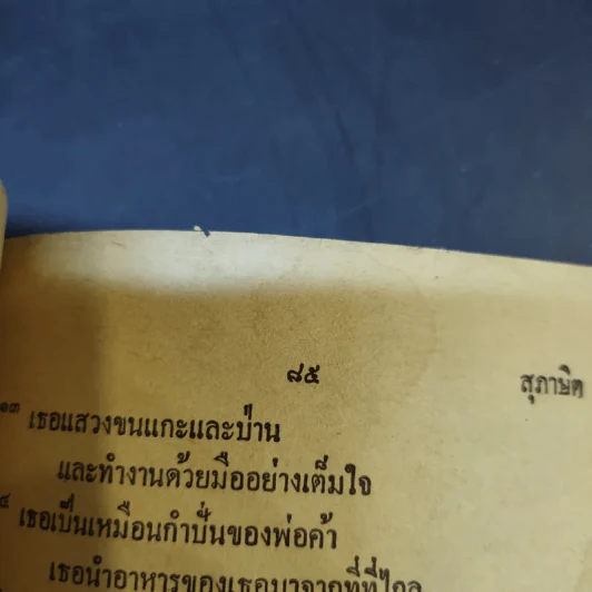 สุภาษิต Proverbs รูปที่ 12