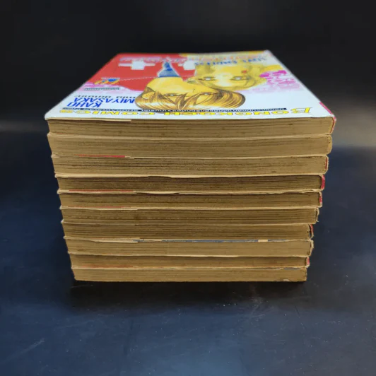 Love Endless องศารักเกินร้อย 10 เล่มจบ รูปที่ 5