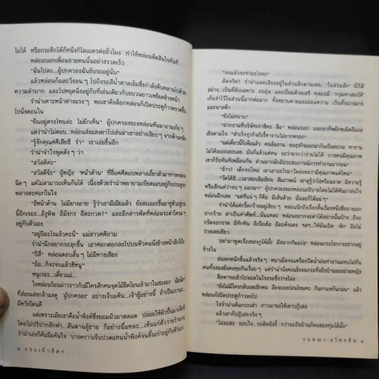 กระเช้าสีดา - กฤษณา อโศกสิน รูปที่ 11