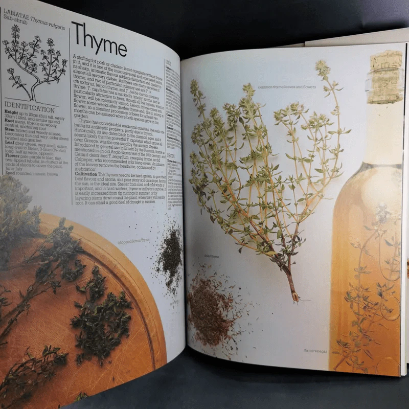 Herbs - Ann Bonar รูปที่ 12