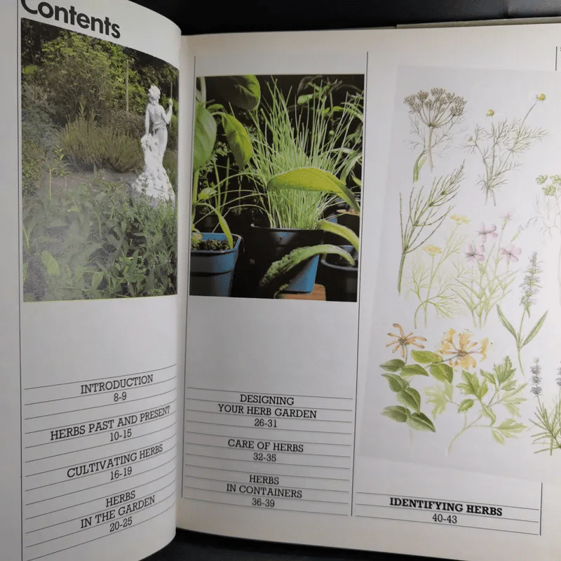 Herbs - Ann Bonar รูปที่ 8