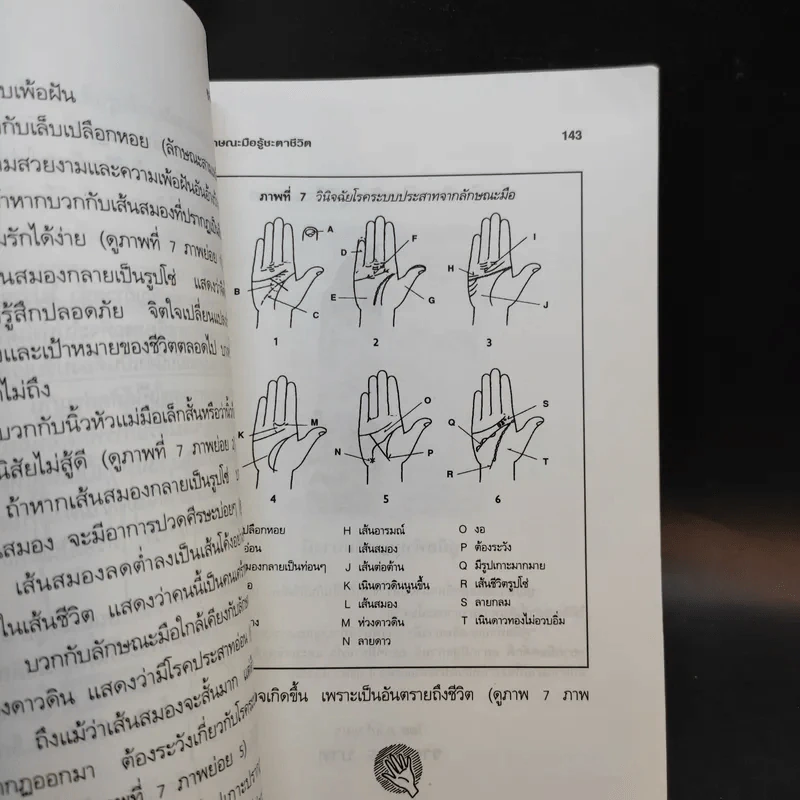 ดูลักษณะมือ รู้ชะตาชีวิต - ม.อึ้งอรุณ รูปที่ 13