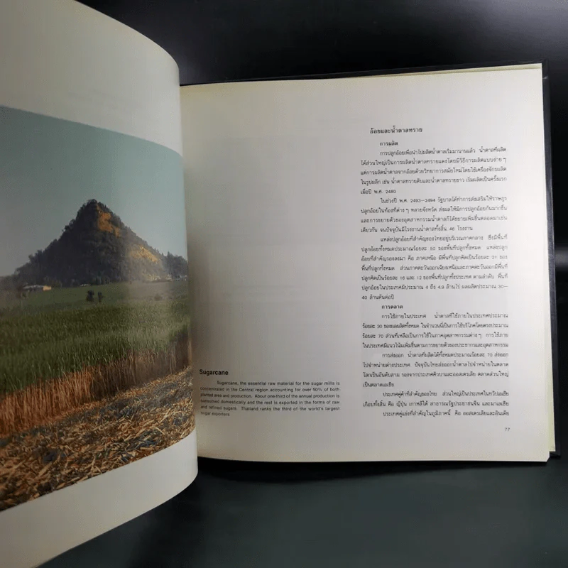 การเกษตรของประเทศไทย Agriculture in Thailand รูปที่ 10