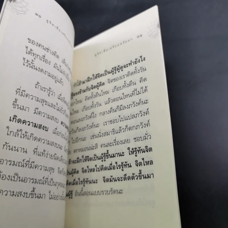 ดูจิตเพื่อเตรียมพร้อมสู่การเจริญปัญญา - หลวงพ่อปราโมทย์ ปาโมชโช รูปที่ 9