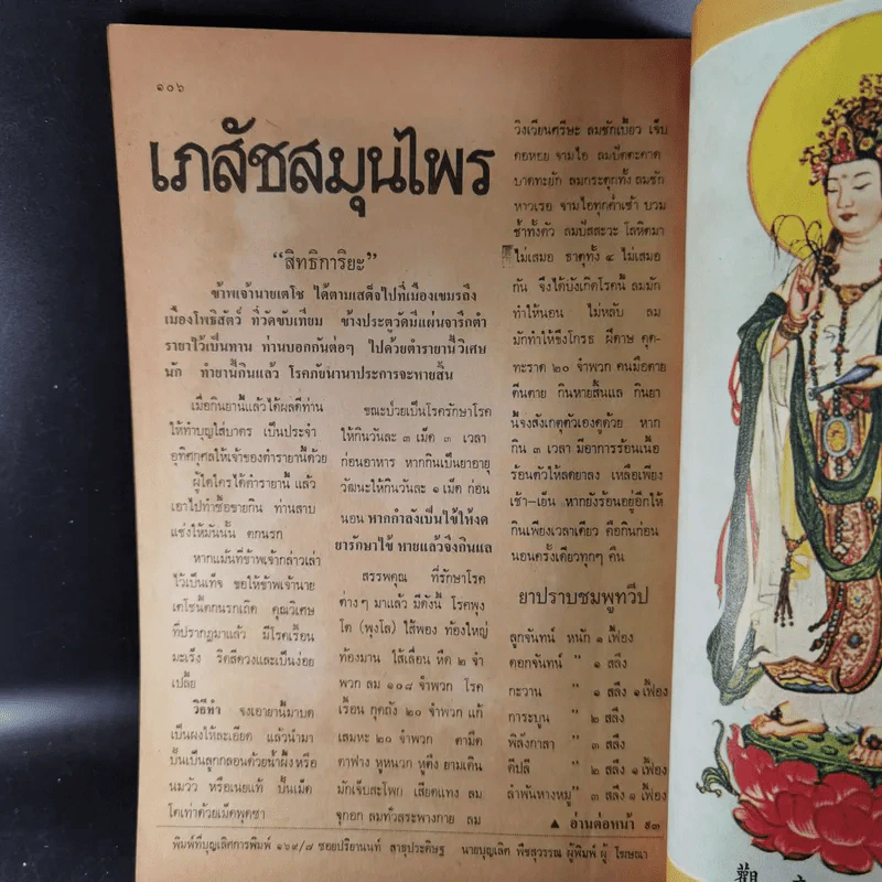 พลังทิพย์ ฉบับที่ 11 รูปที่ 10