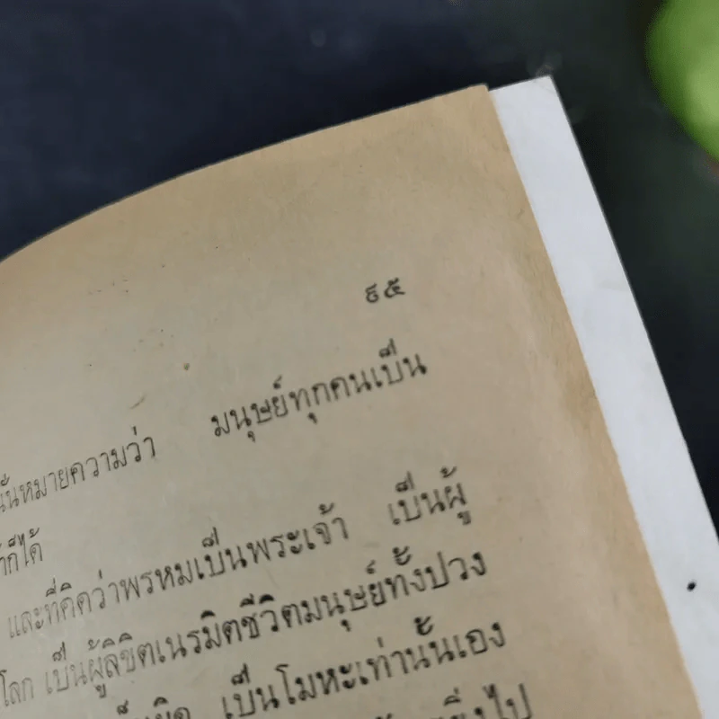 ชาวพุทธ ปีที่ 21 ฉบับที่ 3 ต.ค.2519 รูปที่ 13