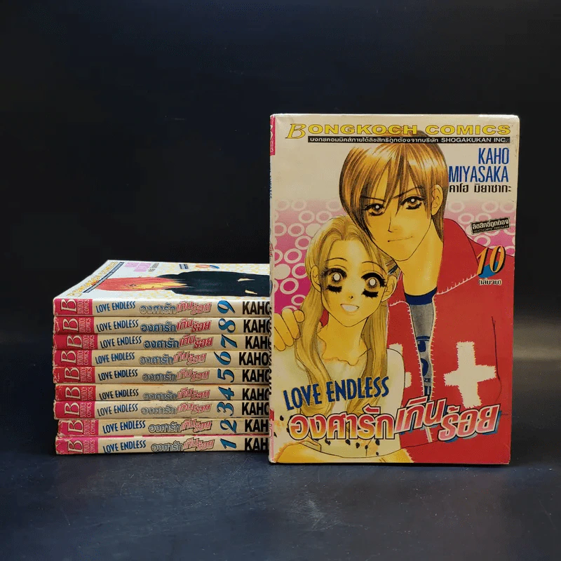 Love Endless องศารักเกินร้อย 10 เล่มจบ รูปที่ 1