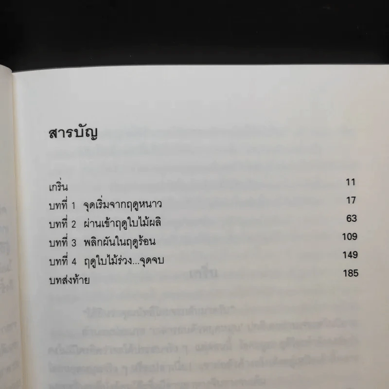 มิเกะเนะโกะ โฮล์มส์ : แมวสามสียอดนักสืบ ตอนที่ 17 ความรักของสาว 4 ฤดู รูปที่ 10