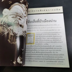 National Geographic ก.พ.2545 เอ็ตนาระเบิด รูปที่ 10